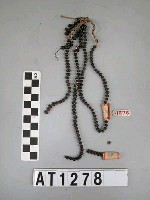 藏品(樹實胸飾)的圖片